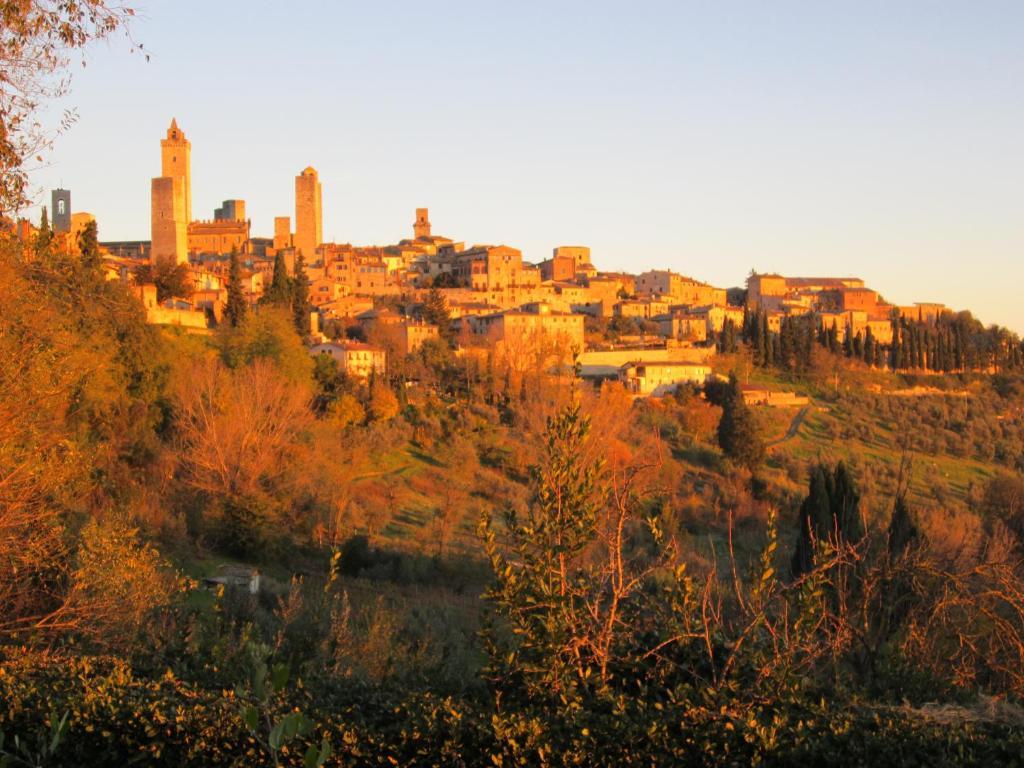 Farm stay Agriturismo Il Colto