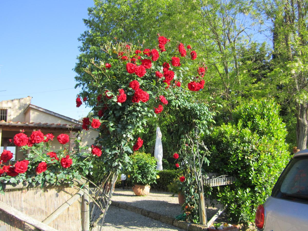 Agriturismo Il Colto Farm stay